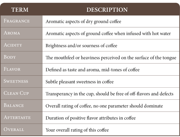 coffee cupping common terms