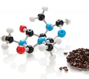 The Chemistry of Organic Acids in Coffee: Part 3