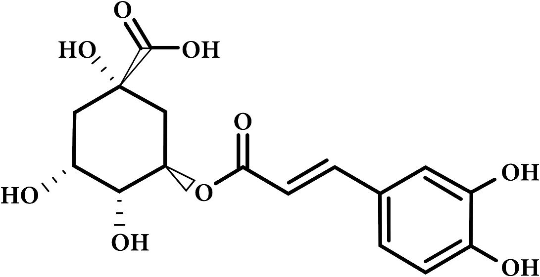 chlorogenic acid molecule