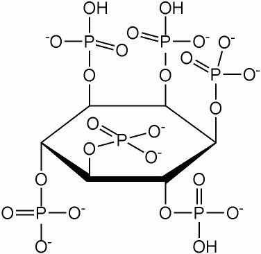 phytic acid molecule