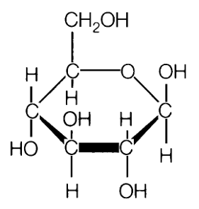 carbohydrate molecule
