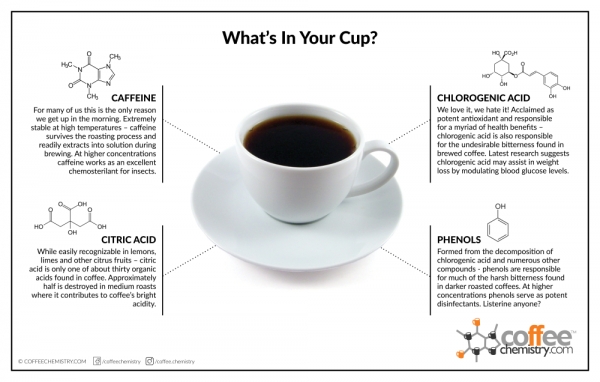 What&#039;s in Your Cup - 2013 Edition