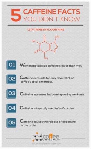 5 Caffeine Facts You Didn&#039;t Know