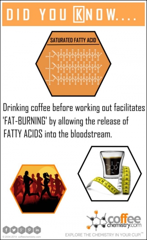 Coffee and Fat-Burning