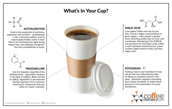 What&#039;s in Your Cup - 2014 Edition